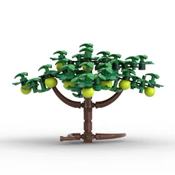 Citrus Trees