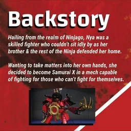 Samurai X: Dual Pack