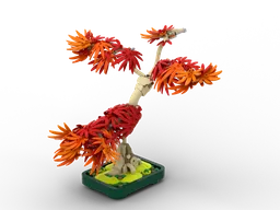 Maple Phoenix
