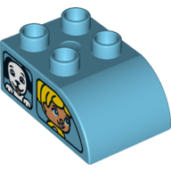 Lego Duplo Brick 2 x 3 with Curved Top - Dual Side Print Windows / Side A Duplo Girl and Dog / Side B Boy and Cat / Medium Azure