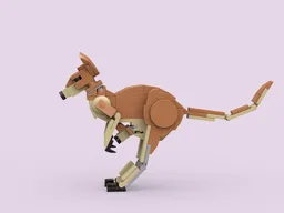 Red Kangaroo
