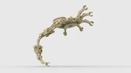 Xenomorph Facehugger