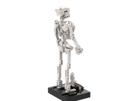 21320 Human Skeleton