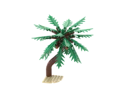 Coconut Palm