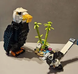 Bald Eagle