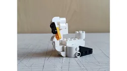Swan