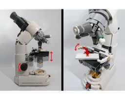 Compound Microscope