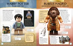 Harry Potter: Character Encyclopedia