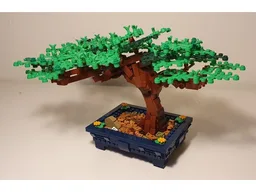 Bonsai Tree