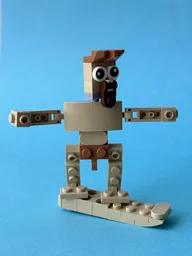 30666 Surfer