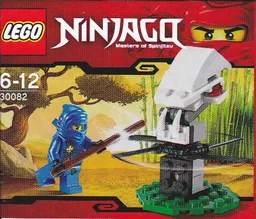 Ninja Training