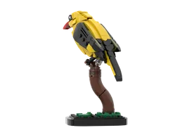 Golden oriole