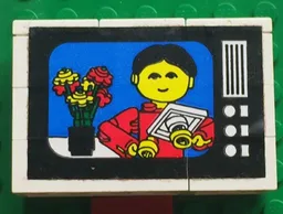 Stickered Assembly 6 x 2 x 3 1/3 with Flowers and Figure on TV Screen Pattern (Sticker) - Set 268-1