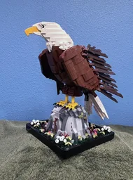 Bald Eagle