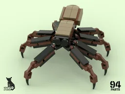 Tegenaria domestica