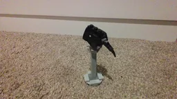Collectable Bird Heads: Australian White Ibis