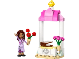 Asha's Welcome Booth