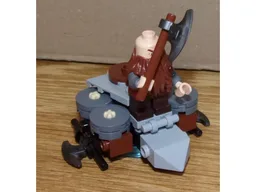 Gimli's Turtle