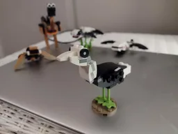 30641 Ostrich