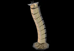 Bobbit Worm (Eunice aphroditois)