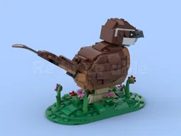 Carolina Wren