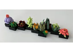Succulent Remix
