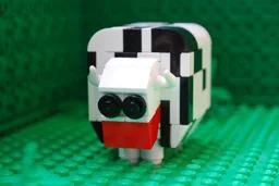 Cow