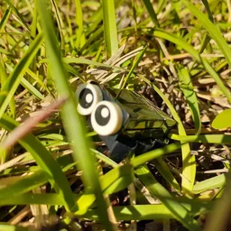 Bug