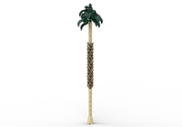 Palm Tree 1