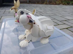 Pooping White Rabbit
