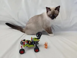 Moon Buggy