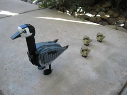 Barnacle goose and goslings