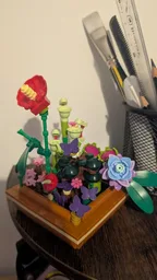 Tiny plants in a bonsai pot