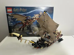 Hungarian Horntail Ship