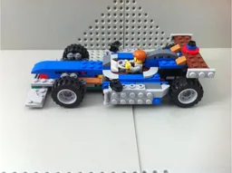 31075 Custom F1