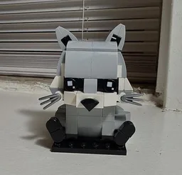 Raccoon
