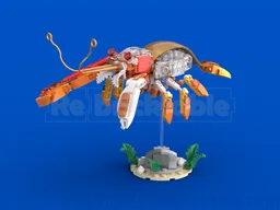 Snapping Shrimp