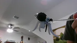 Cuddle fish (Subnautica)