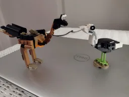30641 Ostrich