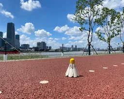A Giant Shuttlecock