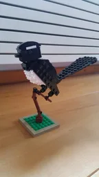Willie Wagtail