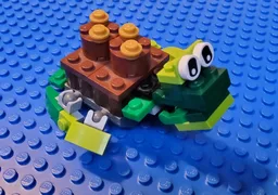 Turtle Despacito