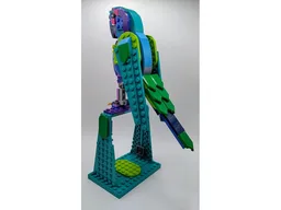 31157 Exotic Parrot