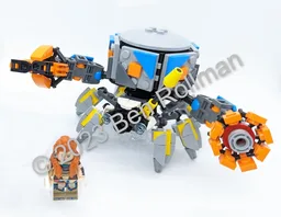 HZD Shell-Walker