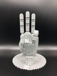 Live-Size Human Hand