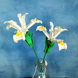Iris 'White Excelsior' flower