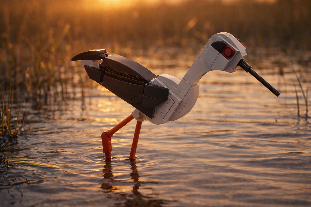Lego Black-winged stilt ((Himantopus himantopus) - Accurate and Poseable