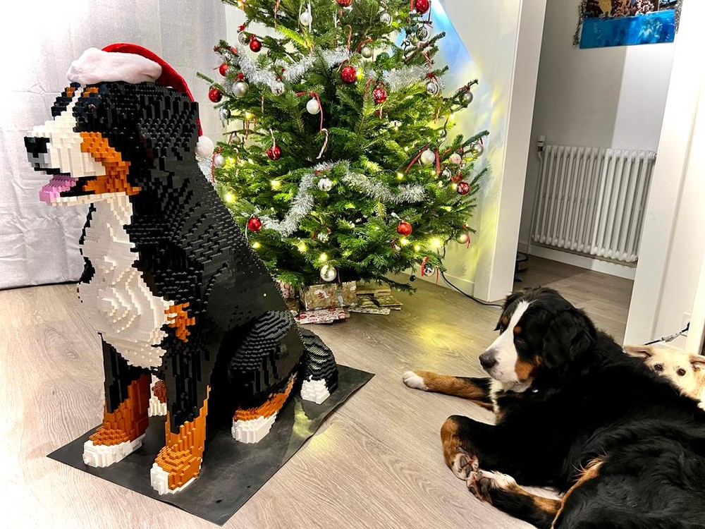 Lego Large Bernese Mountain Dog