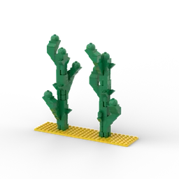 cacti