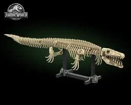 Mosasaurus fossil